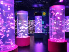 -顺德南宏海立方海洋公园