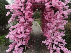 -上海杨姆庄园