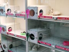 -lincat·猫舍(广州店)