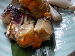 -渔娘渔家丹东海鲜(东直门店)