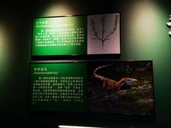 -辽宁古生物博物馆