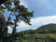 -一嗨租车(凤凰机场店)