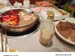 -椒王