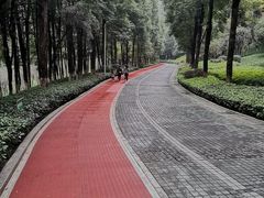 -龙头寺公园