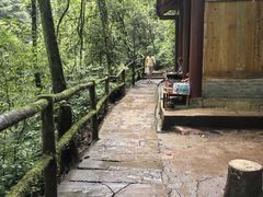 -碧峰峡风景区