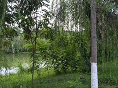 -白鹭湾湿地公园