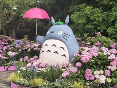-上海滨江森林公园