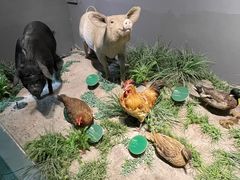 -长江文明馆