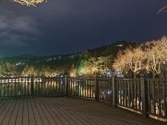 -庐山风景区花径公园