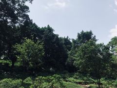 -晓港公园