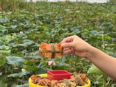 -七的湖·晚芳亭·阳澄湖农家菜·大闸蟹(莲花岛店)