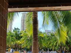 -亚马逊丛林水乐园