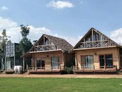 -五甲塘生态湿地公园