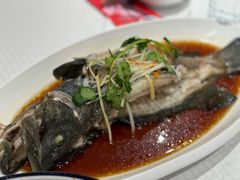 -双井轩(双井店)