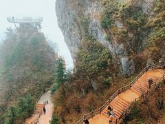 -秦岭天竺山景区