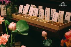 -上海瑞金洲际酒店·宴会厅