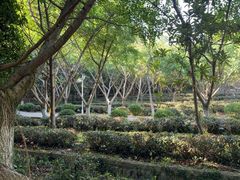 -九龙潭景区