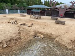 -日照海滨国家森林公园