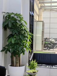 -悟空祛痘·诺奖技术专业店