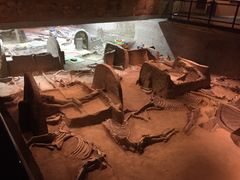 -洛阳周王城天子驾六博物馆