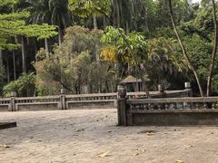 -滴水岩森林公园