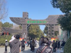 -溱湖国家湿地公园