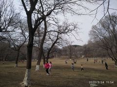 -高尔山公园