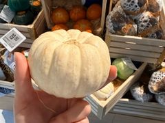 -深圳湾万象城(南山店)