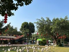 -广州长隆飞鸟乐园