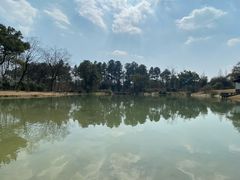 -杭州植物园