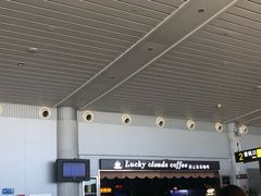 -威海大水泊国际机场