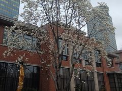 -上海瑞金洲际酒店
