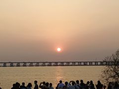 -宝安西湾红树林湿地公园