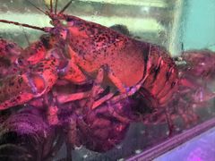 -海峡水产品交易中心(海鲜交易区)