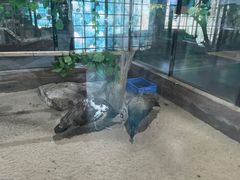 -顺德南宏海立方海洋公园
