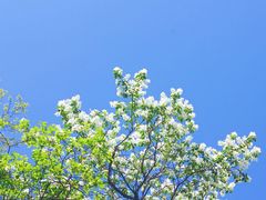 -嵩山少林文化旅游景区