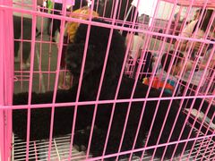 -北京华联购物中心(同成街店)