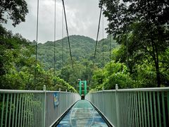 -桂山风景旅游区