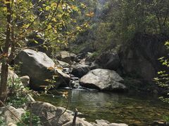 -吕家米皮