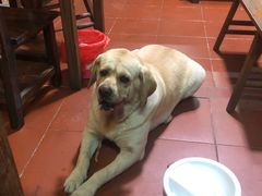 -杨厝六十六农庄农舍(杨厝路店)