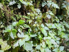 -西南交通大学(峨眉校区)