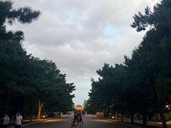 -北陵公园