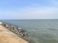 -东堤公园
