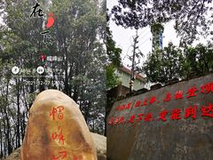 -广州市帽峰山景区