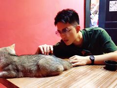 -猫色咖啡·猫咖