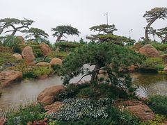 -罗红摄影艺术馆