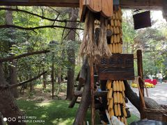 -大鹅岛绿色生态美食园