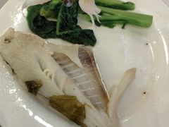 -川道拐耗儿鱼(旗舰店)