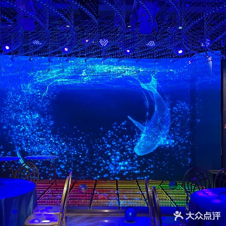 梦幻水晶球🔮内就餐是什么体验❓