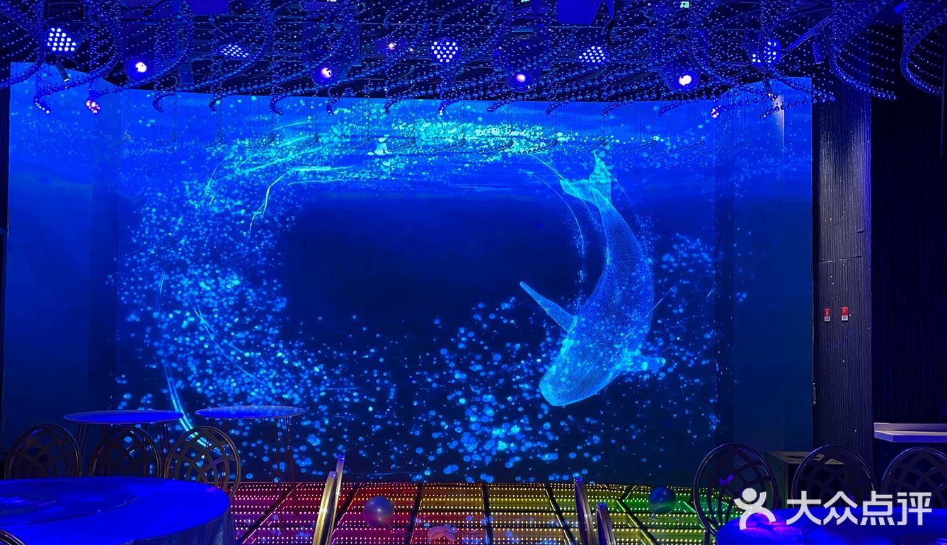 梦幻水晶球🔮内就餐是什么体验❓